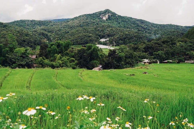 Chiang Mai: Doi Inthanon Trip with Pha Dok Siew Guided Trek - Lunch, coffee, and village life