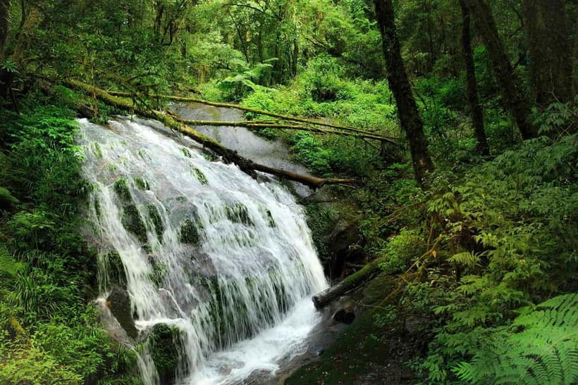 Chiang Mai: Doi Inthanon Trip with Pha Dok Siew Guided Trek - Wachirathan Waterfall and the other falls