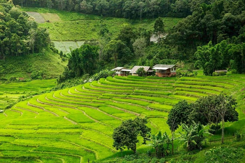 Chiang Mai: Doi Inthanon Trip with Pha Dok Siew Guided Trek - The early van ride and what the group size means