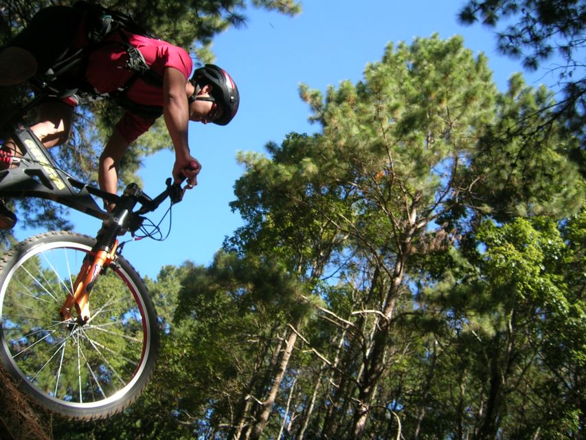 Chiang Mai: Doi Suthep National Park Leisure Hiking & Biking - Booking details worth checking first