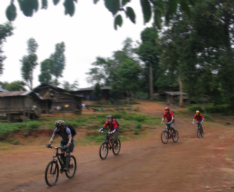 Chiang Mai: Doi Suthep National Park Leisure Hiking & Biking - Wat Pha Lat, the quieter temple stop