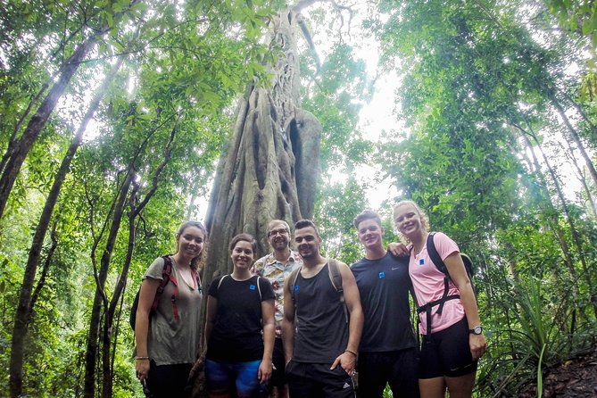 Chiang Mai: Doi Suthep Summit Trek – 7 Hour Pure Hiking Adventure - A serious uphill walk from Chiang Mai