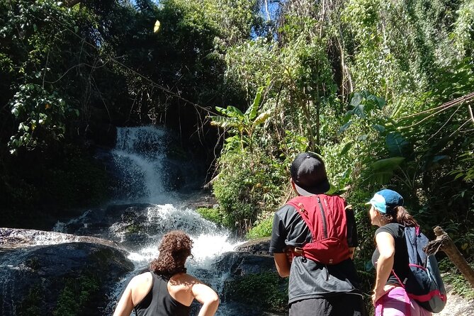Chiang Mai: Doi Suthep Summit Trek – 7 Hour Pure Hiking Adventure - The Monk’s Trail and Wat Pha Lat