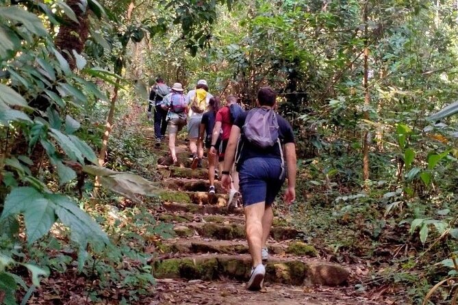 Chiang Mai: Doi Suthep Summit Trek – 7 Hour Pure Hiking Adventure - Waterfalls, seasonal changes, and route flexibility