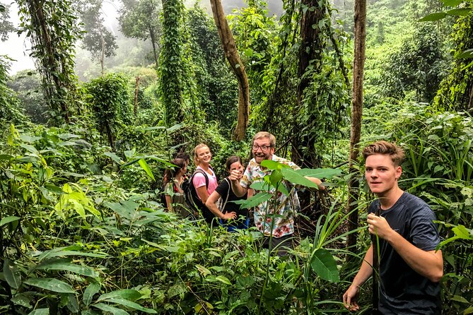 Chiang Mai: Doi Suthep Summit Trek – 7 Hour Pure Hiking Adventure - Support that makes a hard hike easier