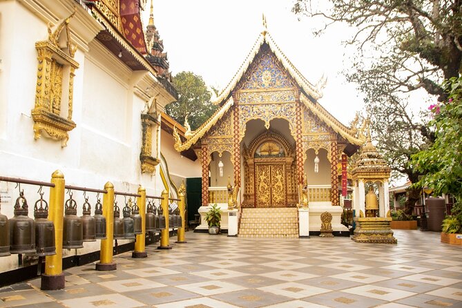 Chiang Mai - Doi Suthep Temple & Wat Pha Lat Hike - Choosing between sunrise and late afternoon