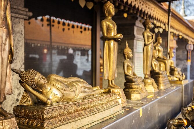 Chiang Mai - Doi Suthep Temple & Wat Pha Lat Hike - Who should book this mountain outing?