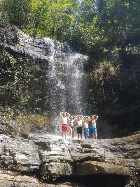 Chiang Mai: Elephant Sanctuary & Jungle Trek w/ Waterfall - Why this Chiang Mai day trip works