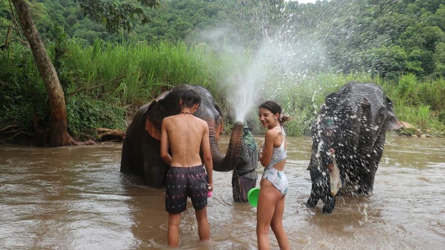 Chiang Mai: Elephant Sanctuary & Jungle Trek w/ Waterfall - Meeting the rescued elephants