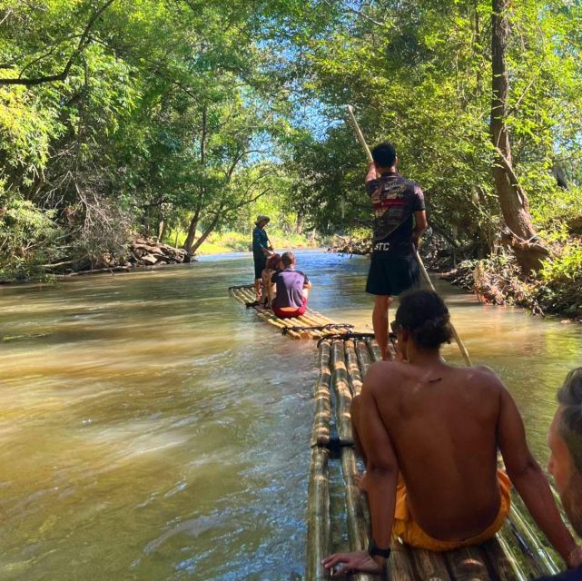 Chiang Mai: Elephant Sanctuary & Jungle Trek w/ Waterfall - Trekking to Mae Wang Waterfall