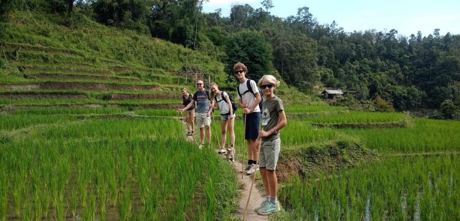 Chiang Mai: Elephant Sanctuary & Jungle Trek w/ Waterfall - What the $61 price covers