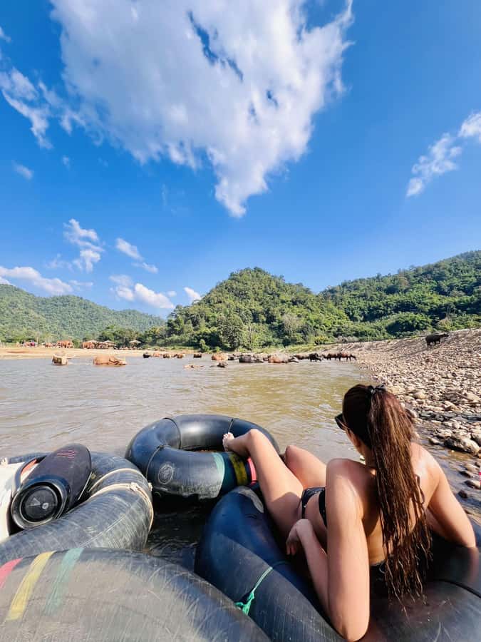 Chiang Mai Full-Day: Trekking, Tubing & Elephant Observation - A full day in Mae Taeng, not just a quick elephant stop
