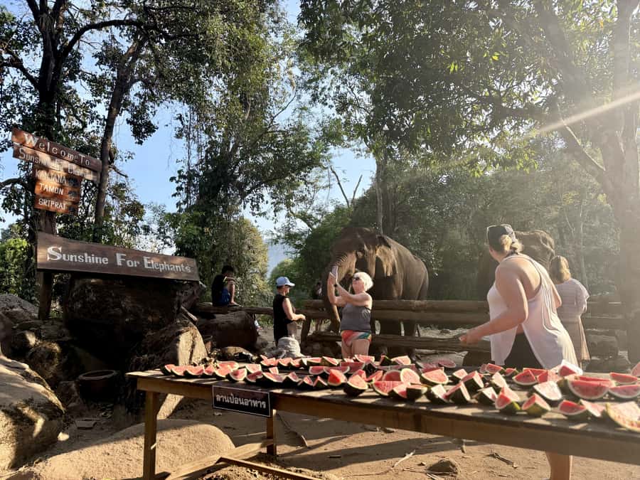 Chiang Mai Full-Day: Trekking, Tubing & Elephant Observation - Tubing the Mae Taeng River near the elephants