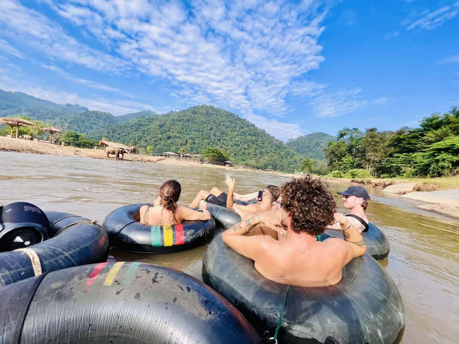 Chiang Mai Full-Day: Trekking, Tubing & Elephant Observation - Elephant observation without riding or performances
