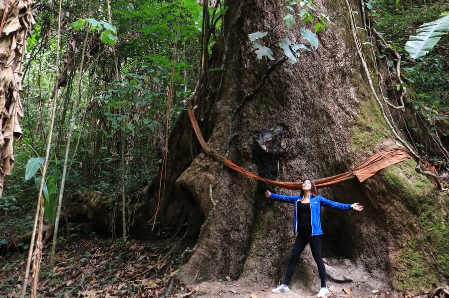 Chiang Mai: Gibbons, Trekking & Mae Kampong Small Group Tour - Why the gibbons are the right reason to book