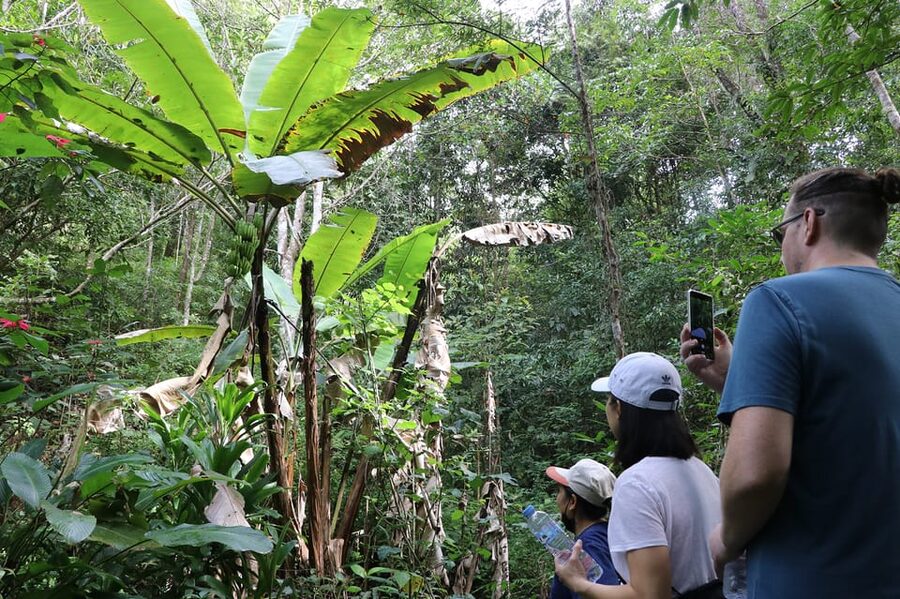 Chiang Mai: Gibbons, Trekking & Mae Kampong Small Group Tour - Mae Kampong gives the day a human side