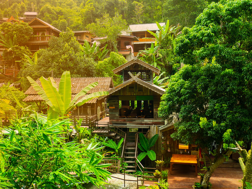 Chiang Mai: Gibbons, Trekking & Mae Kampong Small Group Tour - The 3 kilometer forest trail is the heart of the outing