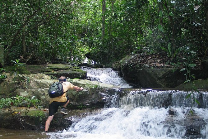 Chiang mai Hike & Downhill Bike Adventure –Suthep National Park - A full day from Chiang Mai to the mountain