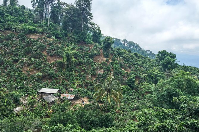 Chiang mai Hike & Downhill Bike Adventure –Suthep National Park - What the $75.01 price really covers