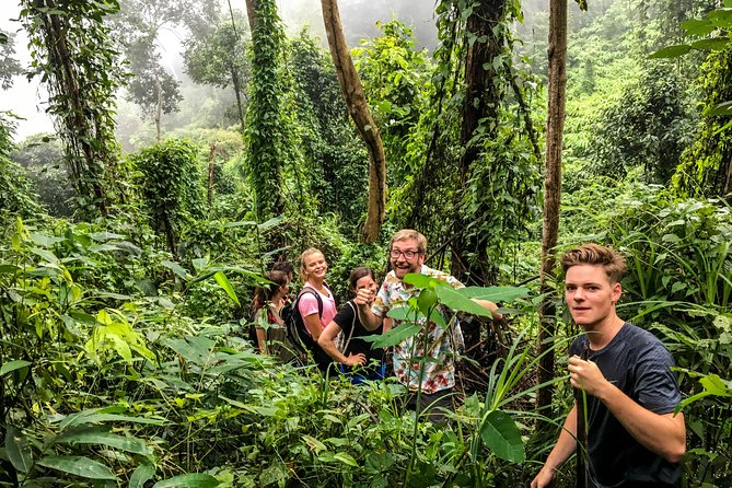 Chiang mai Hike & Downhill Bike Adventure –Suthep National Park - Weather, route changes, and the right season