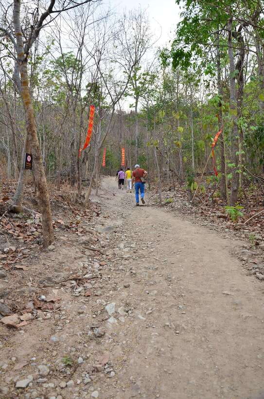 Chiang Mai: Hike on Monk’s Trail and Doi Suthep Private Tour - Booking Details That Matter