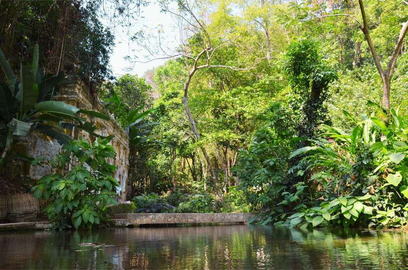 Chiang Mai: Hike on Monk’s Trail and Doi Suthep Private Tour - Should You Book the Monk’s Trail and Doi Suthep Tour?
