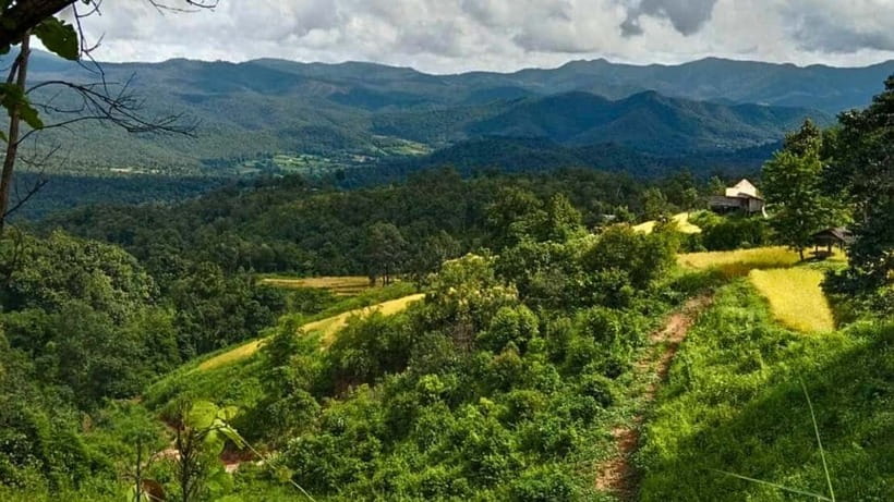 Chiang Mai: Jungle Trek, Elephants care & Bamboo Rafting - Who should book this day