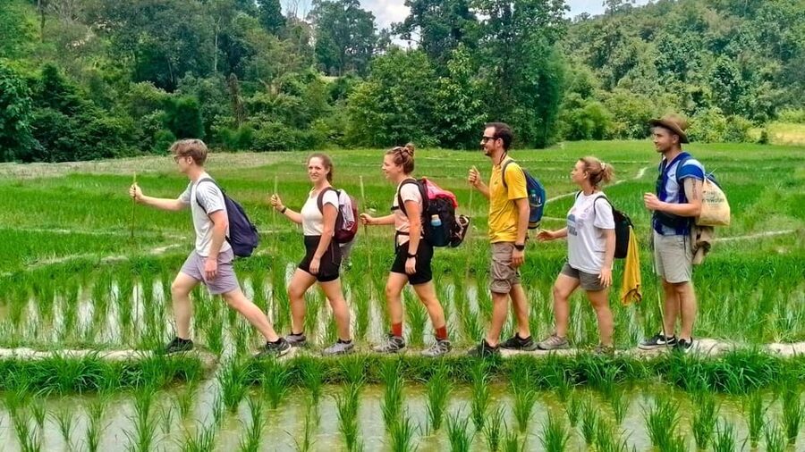 Chiang Mai: Jungle Trek, Elephants care & Bamboo Rafting - The waterfall lunch stop