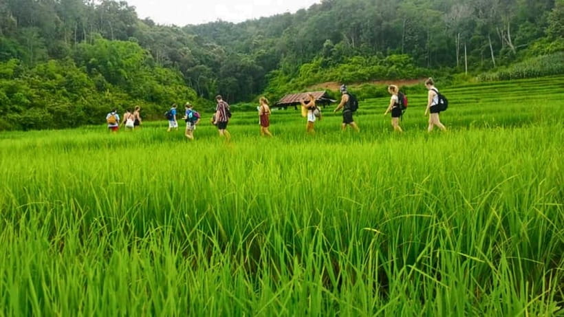Chiang Mai: Jungle Trek, Elephants care & Bamboo Rafting - Rice terraces and the Karen village