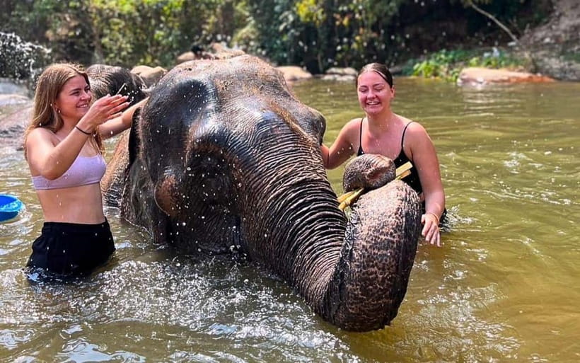 Chiang Mai: Jungle Trek, Elephants care & Bamboo Rafting - Shopping for lunch at a local market