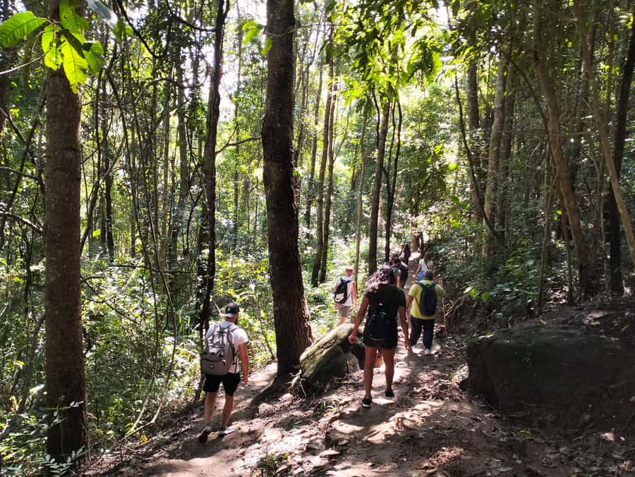 Chiang Mai: Mae Ya Waterfall & Pha Dok Siew Trail Trek - Key points at a glance