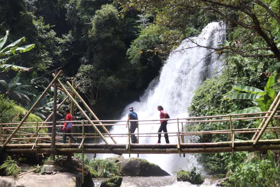 Chiang Mai: Mae Ya Waterfall & Pha Dok Siew Trail Trek - Ban Mae Klang Luang and its rice fields