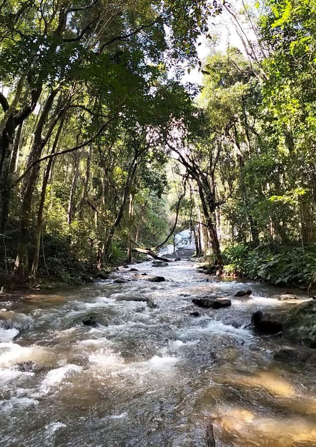 Chiang Mai: Mae Ya Waterfall & Pha Dok Siew Trail Trek - What to bring for the trail