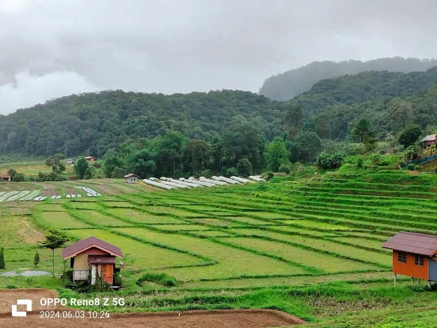 Chiang Mai: Mae Ya Waterfall & Pha Dok Siew Trail Trek - Pickup, timing, and practical limits