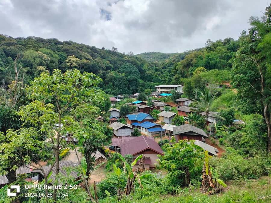 Chiang Mai: Mae Ya Waterfall & Pha Dok Siew Trail Trek - The road to Wachirathan Waterfall