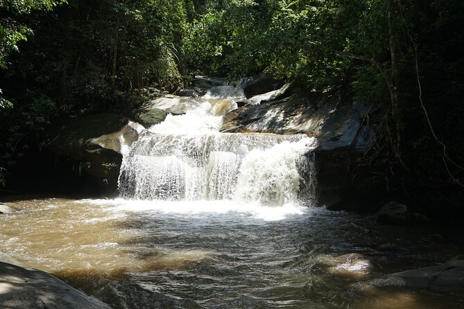 Chiang Mai Trekking Tour :Full day (no rafting) - A full day beyond Chiang Mai