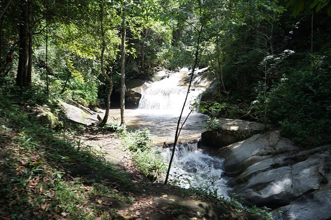 Chiang Mai Trekking Tour :Full day (no rafting) - Meeting elephants at Elephant Pride Sanctuary