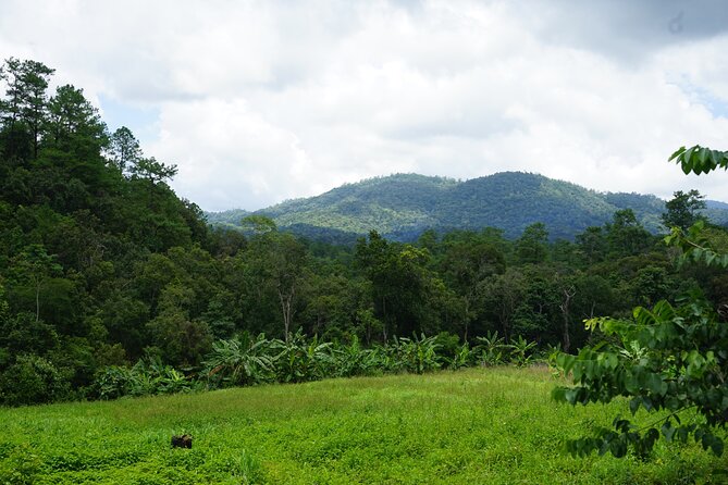 Chiang Mai Trekking Tour :Full day (no rafting) - Thai lunch in the countryside