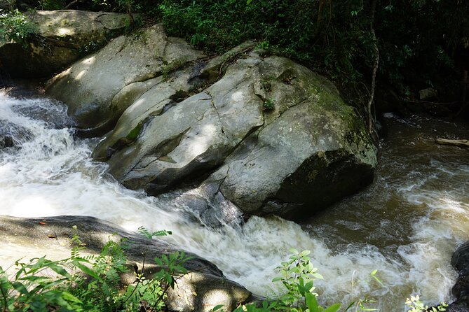 Chiang Mai Trekking Tour :Full day (no rafting) - Who should book this Chiang Mai trek