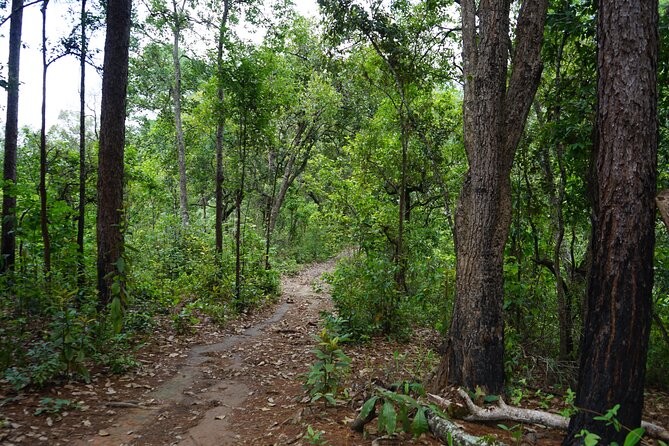 Chiang Mai Trekking Tour :Full day (no rafting) - Booking details worth noting
