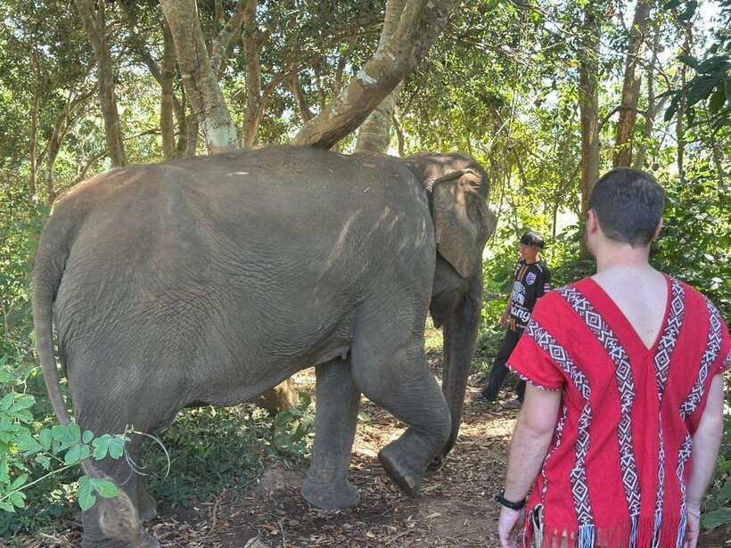 Chiang Mai Untouched Elephant: Nature Walk & Waterfall Trek - Meeting the elephants and their caretakers