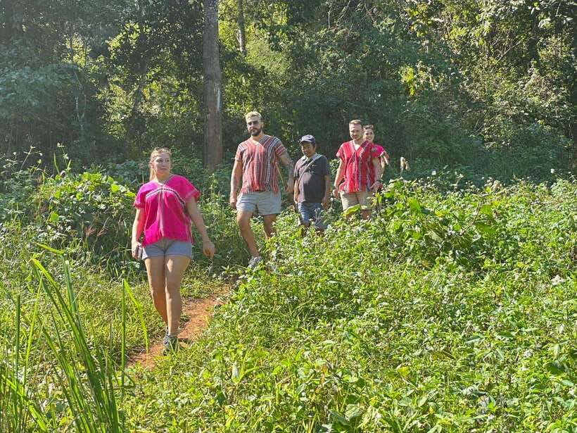 Chiang Mai Untouched Elephant: Nature Walk & Waterfall Trek - What the $51 price gets you
