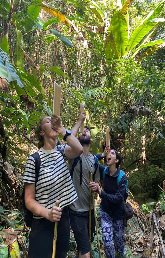 Chiang Rai: 1-Day Trekking and Longtail Boat Trip - Who should book this day
