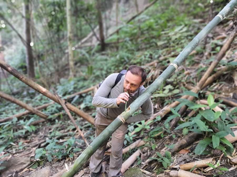 Chiang Rai: 2-Day Jungle Trek only walk with Waterfall - What this Chiang Rai trek is really about