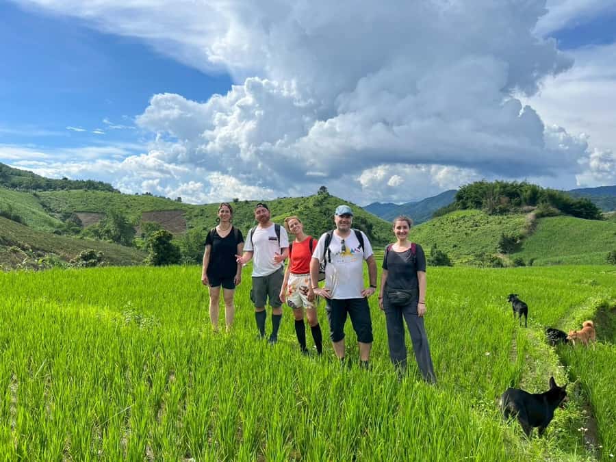 Chiang Rai: Jungle Adventure-Group Trekking & Bamboo Cooking - Key points at a glance