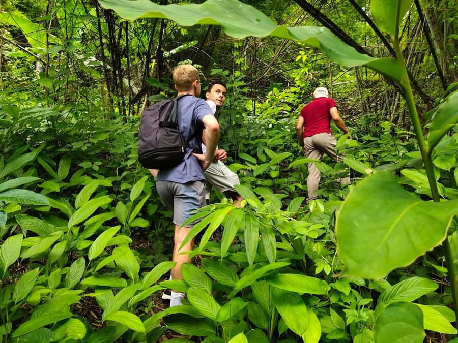 Chiang Rai: Jungle Adventure-Group Trekking & Bamboo Cooking - Starting at Pa Soert Hot Spring