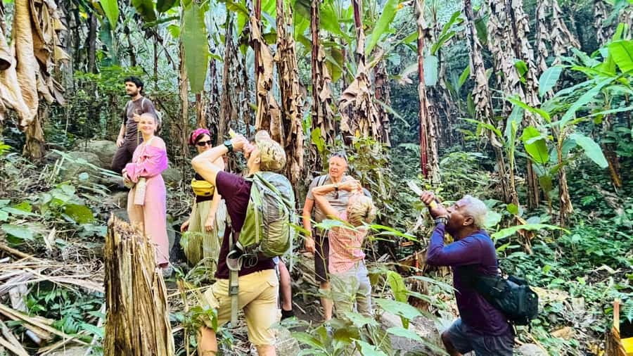 Chiang Rai: Jungle Adventure-Group Trekking & Bamboo Cooking - Villages, farmland, and a closer look at rural life