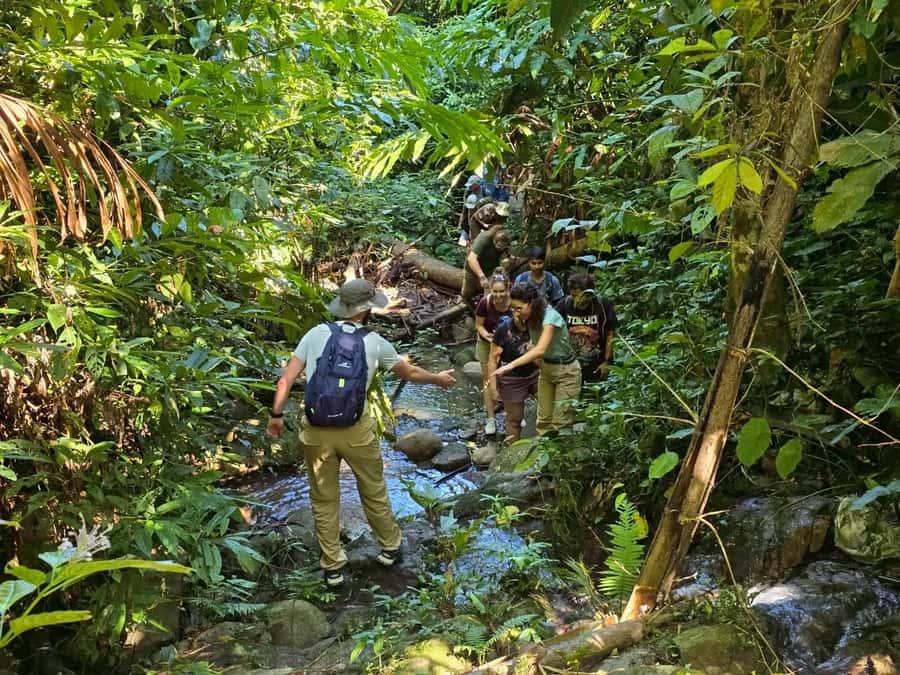 Chiang Rai: Jungle Adventure-Group Trekking & Bamboo Cooking - The 9 a.m. pickup and ride into the hills