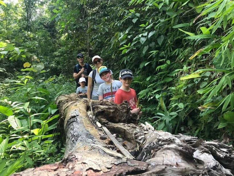 Chiang Rai Trek: 4 Hilltribes Villages & Waterfall Only Walk - Chinese village tea fields and working farms