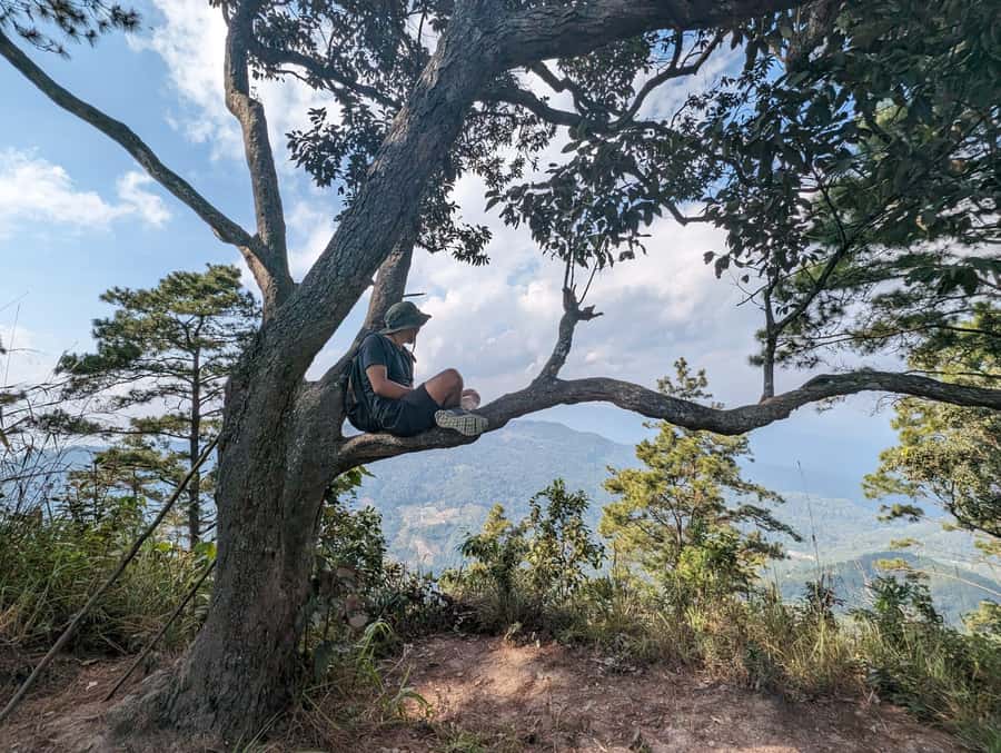 Chiangmai : Doi Pui Summit Hiking Experience - Key points to know before booking